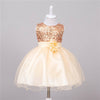 Baby Sequin Dress Flower Girl Wedding Princess Dress - YLORESHOP